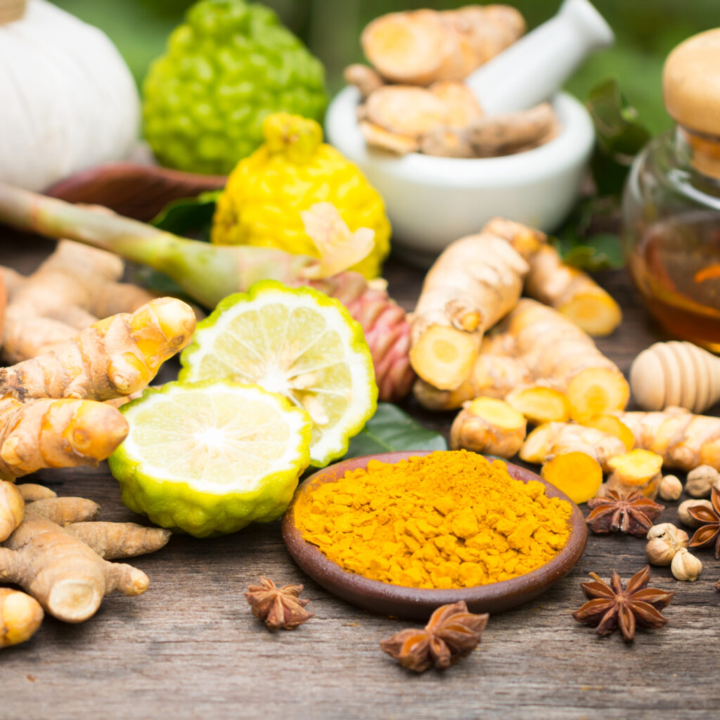 Ayurvedisches Pflanzen Kurkuma Ingwer und Zitrone